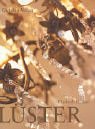 L�ster