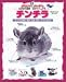 チンチラ―チンチラの飼育・医学・生態・歴史…すべてがわかる (スタジオ・ムック―アニファブックス-わが家の動物・完全マニュアル-)