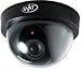 Electronics : SVAT ISC302 Outdoor Imitation Dome Security Camera w/Blinking LED