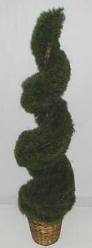 5' INDOOR / OUTDOOR Spiral Springerii Topiary Tree