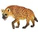 Wild Safari Hyena
