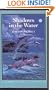 Shadows in the Water: a Starbuck Family Adventure