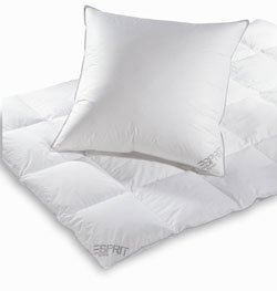 Esprit Black Line Daunen Kopfkissen, 80 x 80 cm