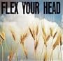 Flex Your Head