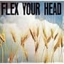 Flex Your Head