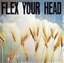 Flex Your Head Flex Your Head