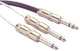 Proco IPBQ2Q-10 Insert Patch Cable 10 ft.