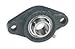 Dayton 3FCN5 Mounted Ball Bearing, Flange, 1 In Bore
