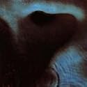 Meddle 