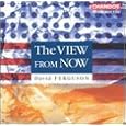 Ferguson - The View from Now