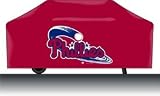 Philadelphia Phillies Durable Vinyl Grill Cover