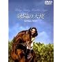 �Ή��̓V�g [DVD]