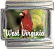 Clearly Charming West Virginia State Bird Cardinal Italian Charm Bracelet Link