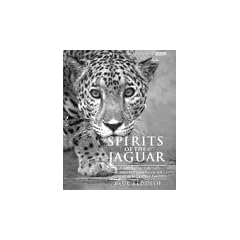Spirits of the Jaguar: The Natural History and Ancient Civilizations of the Caribbean and Central America: Natural History and Ancient Civilisations of the Caribbean and Central America