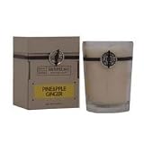 Archipelago Botanicals Signature Series Soy Wax Candle Collection Pineapple Ginger