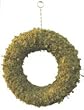 Sphagnum Moss Wreath - 9"