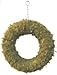 Sphagnum Moss Wreath - 9"