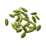 Review Wholespice  / Fennel Seed Organic