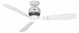 Hunter Industrie Ceiling Fan