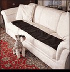Childrens Toyshop  Pet Supplies : Sonic Scat Mat*** Sofa Scram *** Dog & Cat Deterrent***Keeps Pets Off Furniture*** Money Back Guarantee*** It Works!!!!