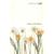Cider with Rosie (Vintage classics)