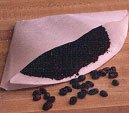  : Chemex 100 Unfolded 13' 'Half Moon' Circle Filters (3 Cup Maker)