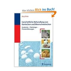 Ganzheitliche Behandlung von Kaninchen und Meerschweinchen: Anatomie- Pathologie- Praxiserfahrungen