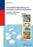 Ganzheitliche Behandlung von Kaninchen und Meerschweinchen
