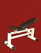 Titan Flat/Incline Bench by TDS