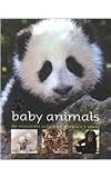 Baby Animals: An Irresistible Collection of Nature's Young