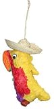 Polly Wanna Pinata, Parrot