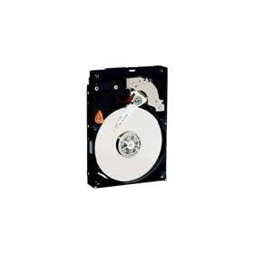 Western Digital WD3200JBRTL Caviar 320 GB PATA Hard Drive: Electronics