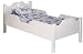 Little Colorado Scalloped Toddler Bed 084