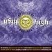 Music : Spiritual High