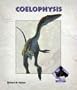 Coelophysis (Dinosaurs Set I)