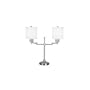 Mario Lamps 05T672SN Double Arm Sight Saver Desk Lamp