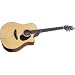 Breedlove Atlas Studio D25/SM Acoustic Electric Guitar
