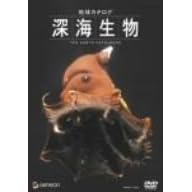 �n���J�^���O �[�C���� [DVD]