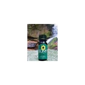 Angelica Root Oil by SomaTherapy