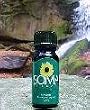 Kanuka Oil by SomaTherapy