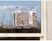 Duncraft Super Songbird One Way Mirror Window Bird Feeder