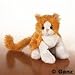Lil' Kinz Orange and White Cat