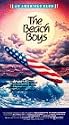 The Beach Boys - An American Band [VHS]