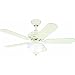 Westinghouse Ceiling 7877265 42" Ceiling Fan