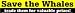 Save the Whales - Trade them for valuable prizes! bumper sticker