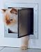Small Plexidor Dog Door / Cat Door for Walls (Silver)