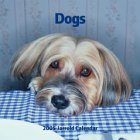 Dogs Calendar 2005 (Square Calendar)