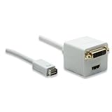 Détails sur le produit