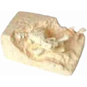 Mini Dino Excavation Kit