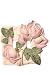 double switch decorative switch plate cover - Vintage Rose, Rose, double decorative s...